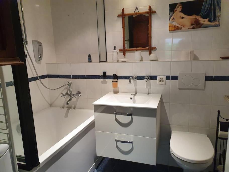 Appartement Dans Un Jardin Geneva Bagian luar foto